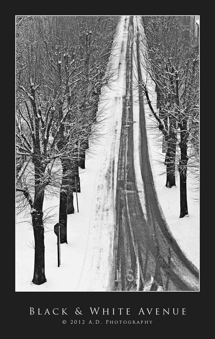 Black & White Avenue