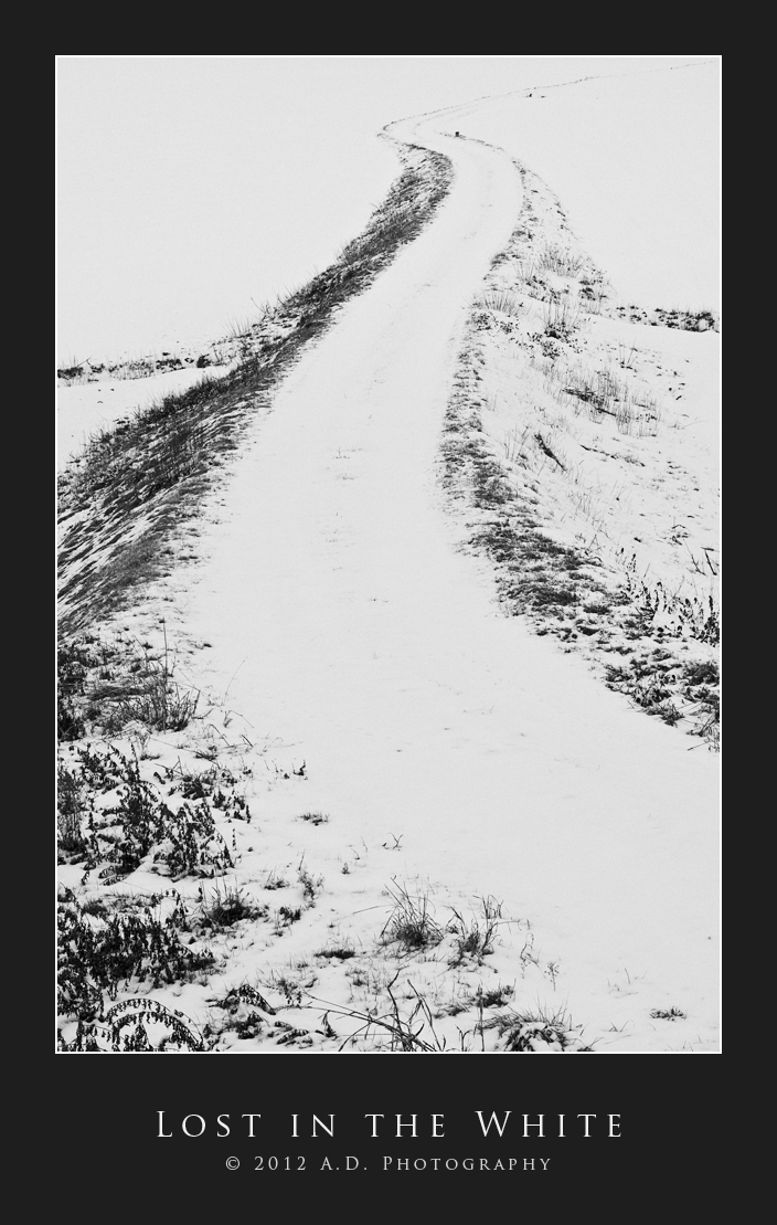 Lost in the White