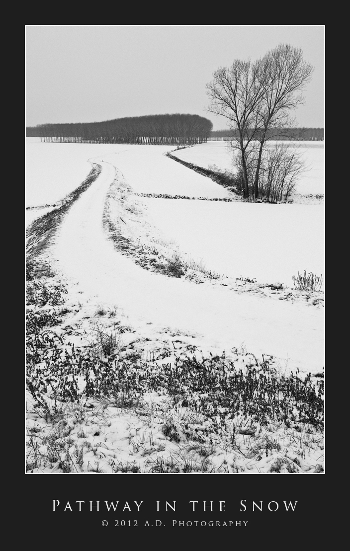 Pathway in the Snow