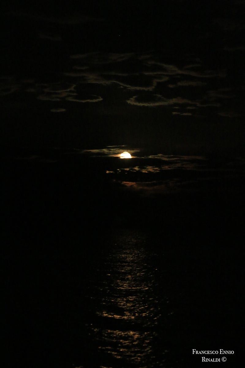 The moon in the sea