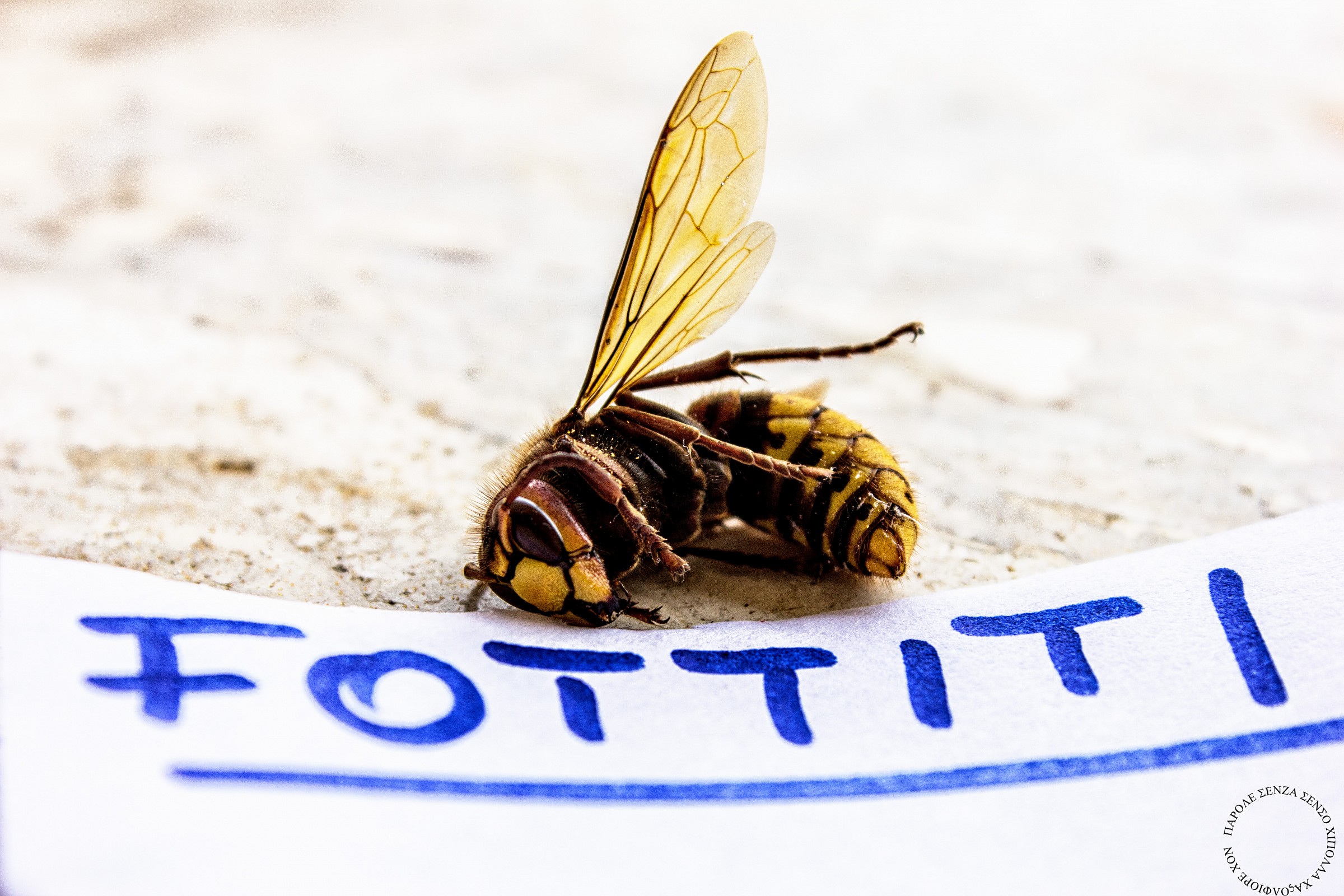 Die useless creature