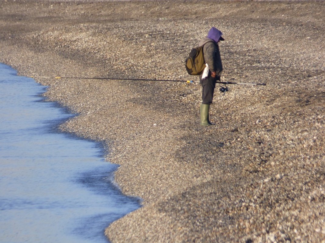 Oggi non voglio pescare