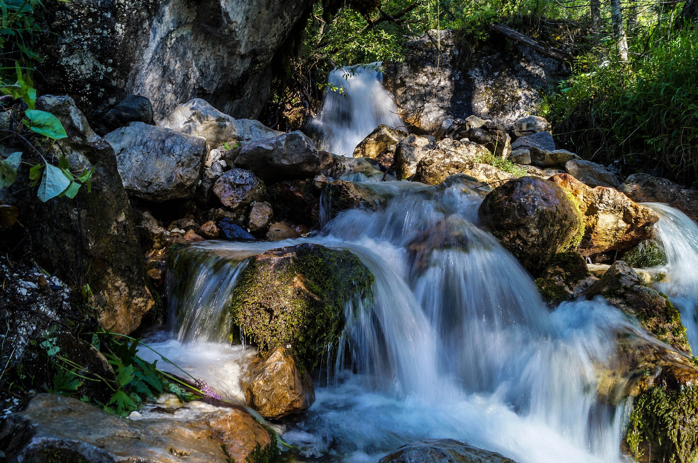 Gares - Pale di San Martino