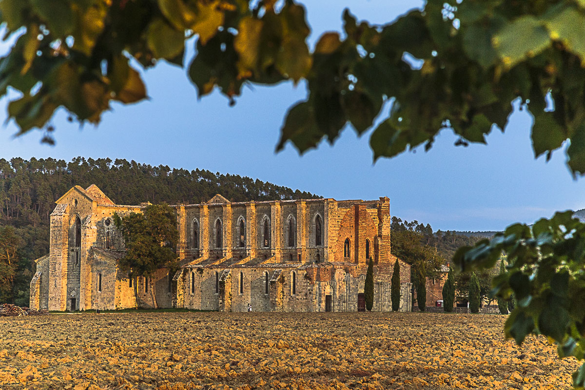 Abbazia di San Galgano - tramonto con cornice