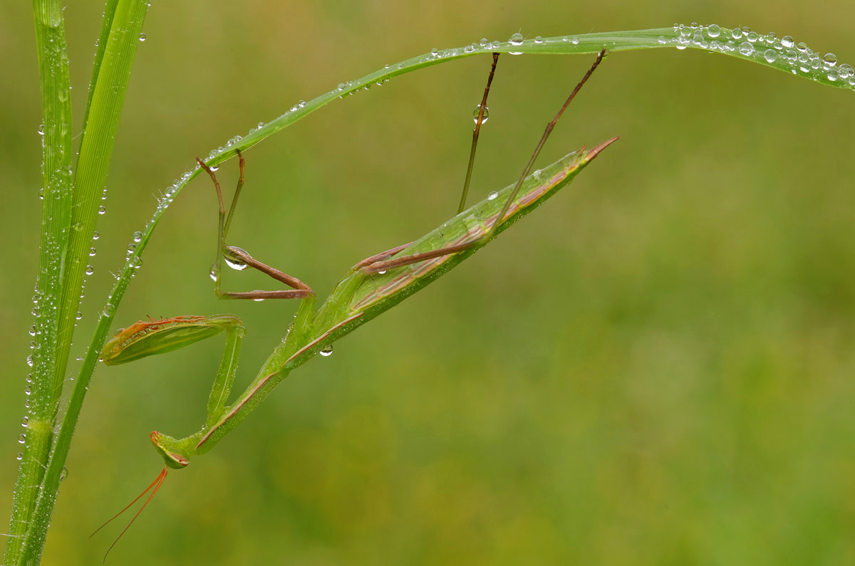 Praying in ... moist!