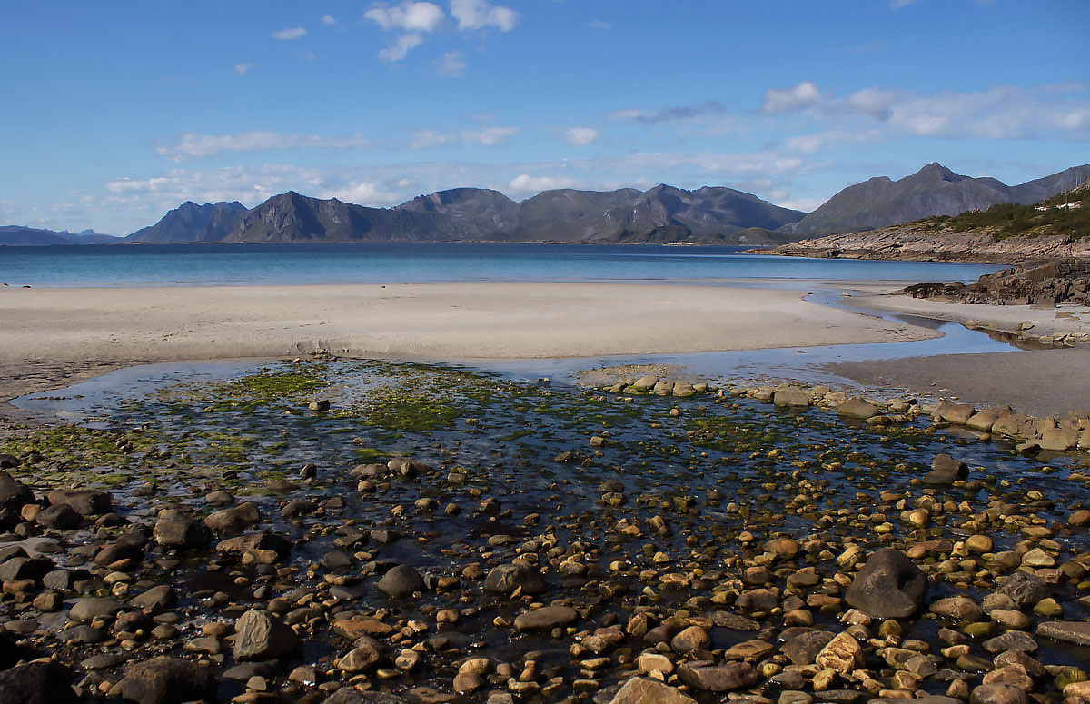 Sole alle Lofoten