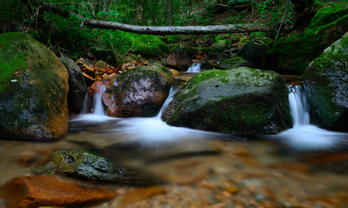 The colors of the water