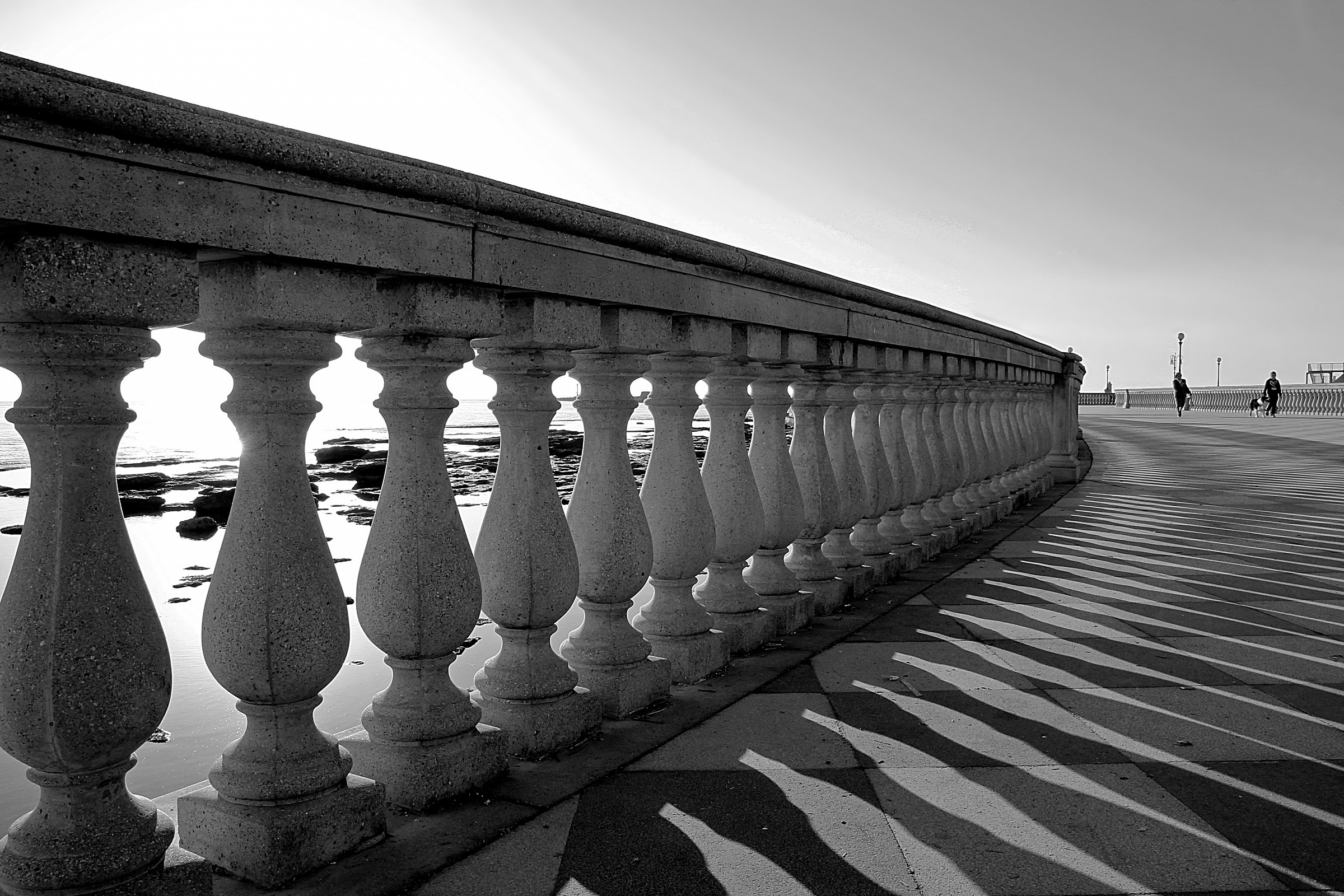 railing B & W