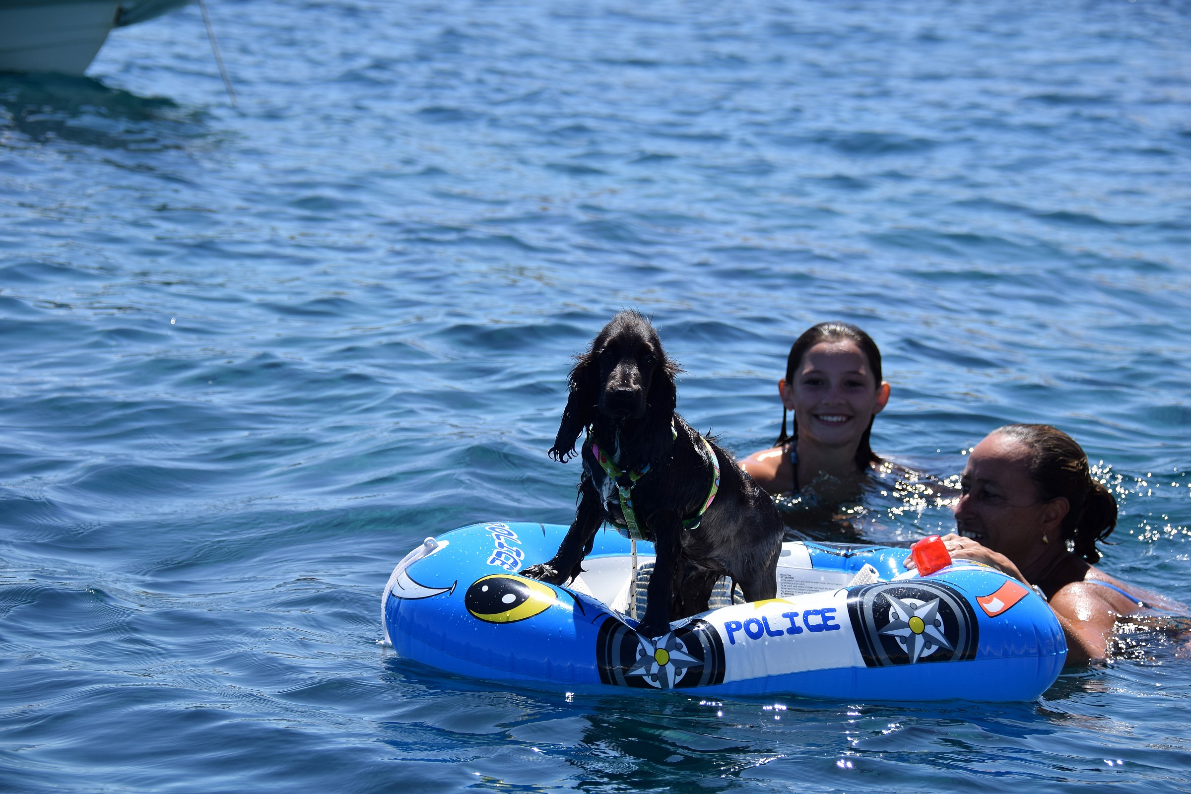 Nuova generazione di bagnino...