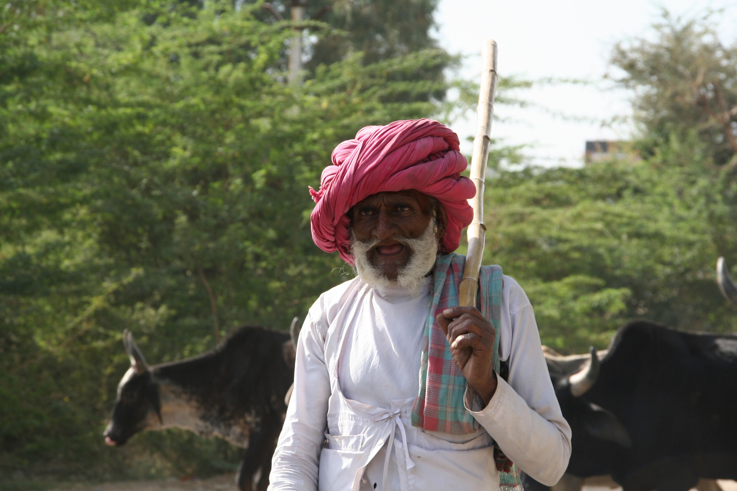 India anziano pastore