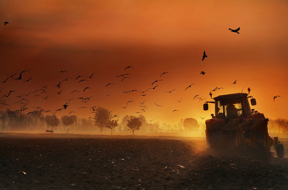 Si continua fino al tramonto...