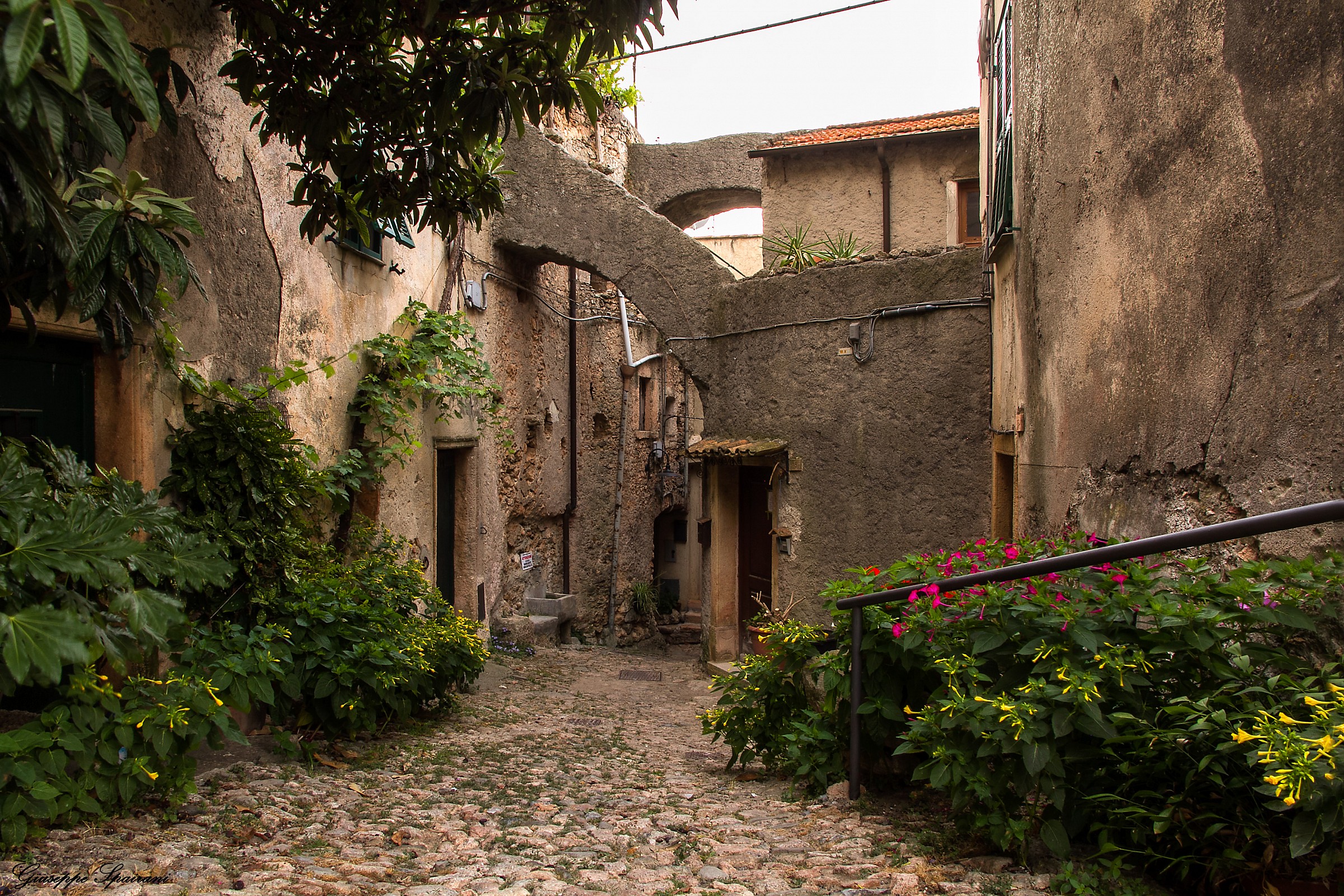 you hear only the wind