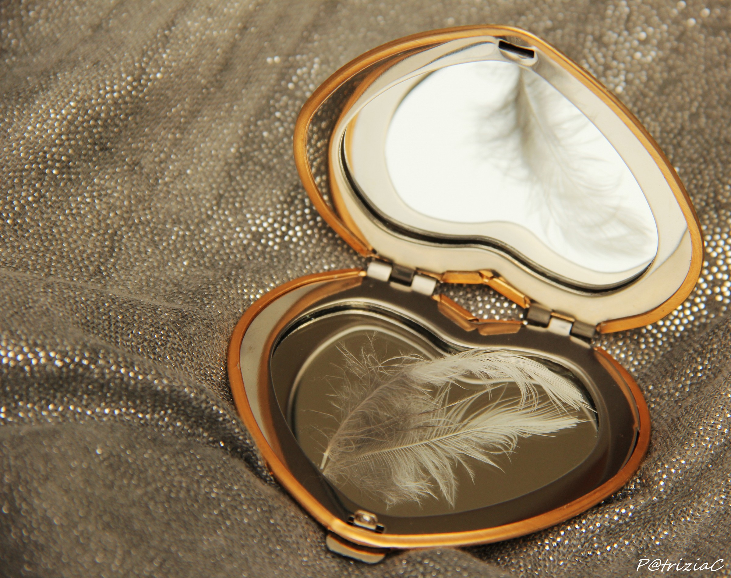 Life is a feather in time to dumb ....