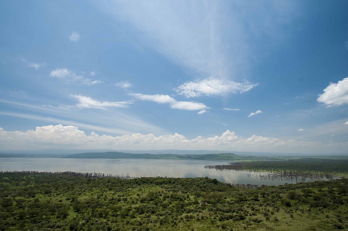 lake nakuru