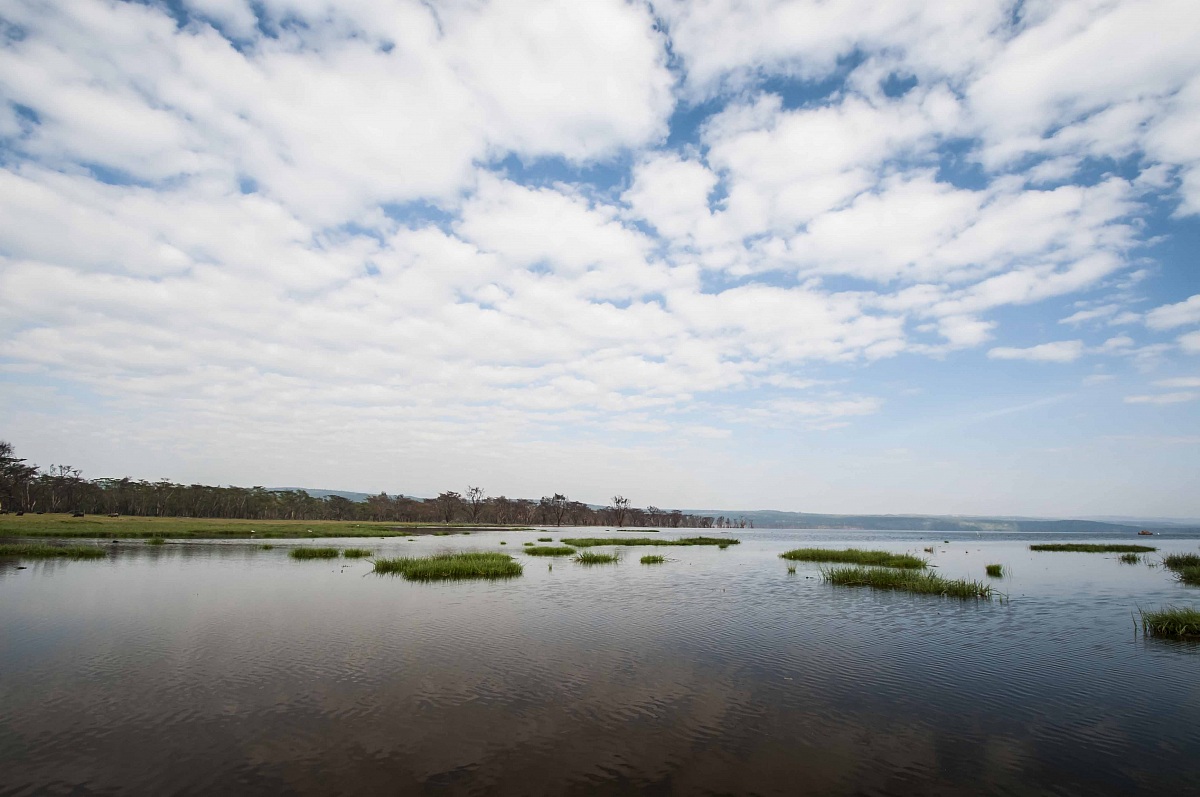 lake nakuru