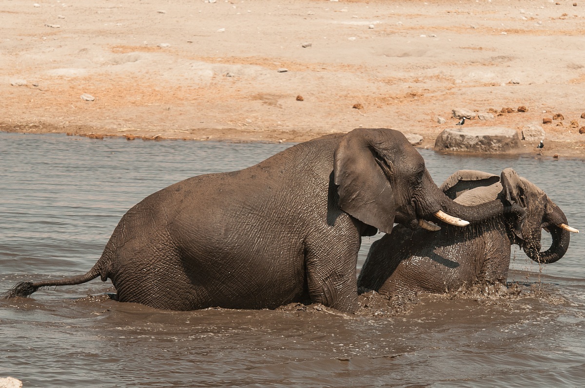 Lavati bene dietro le orecchie..............!!!!