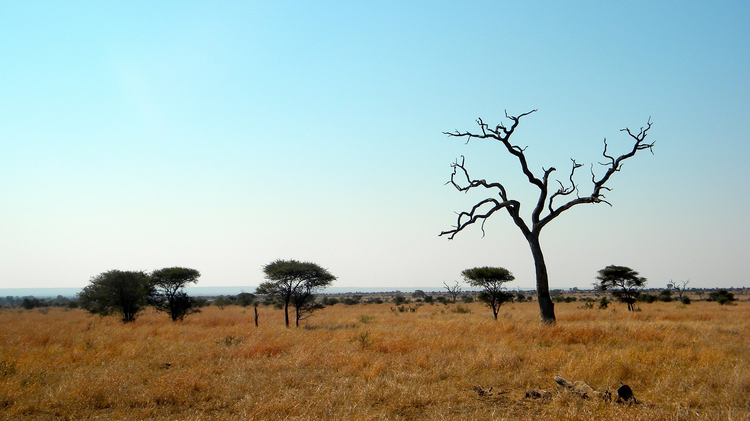 Kruger National Park