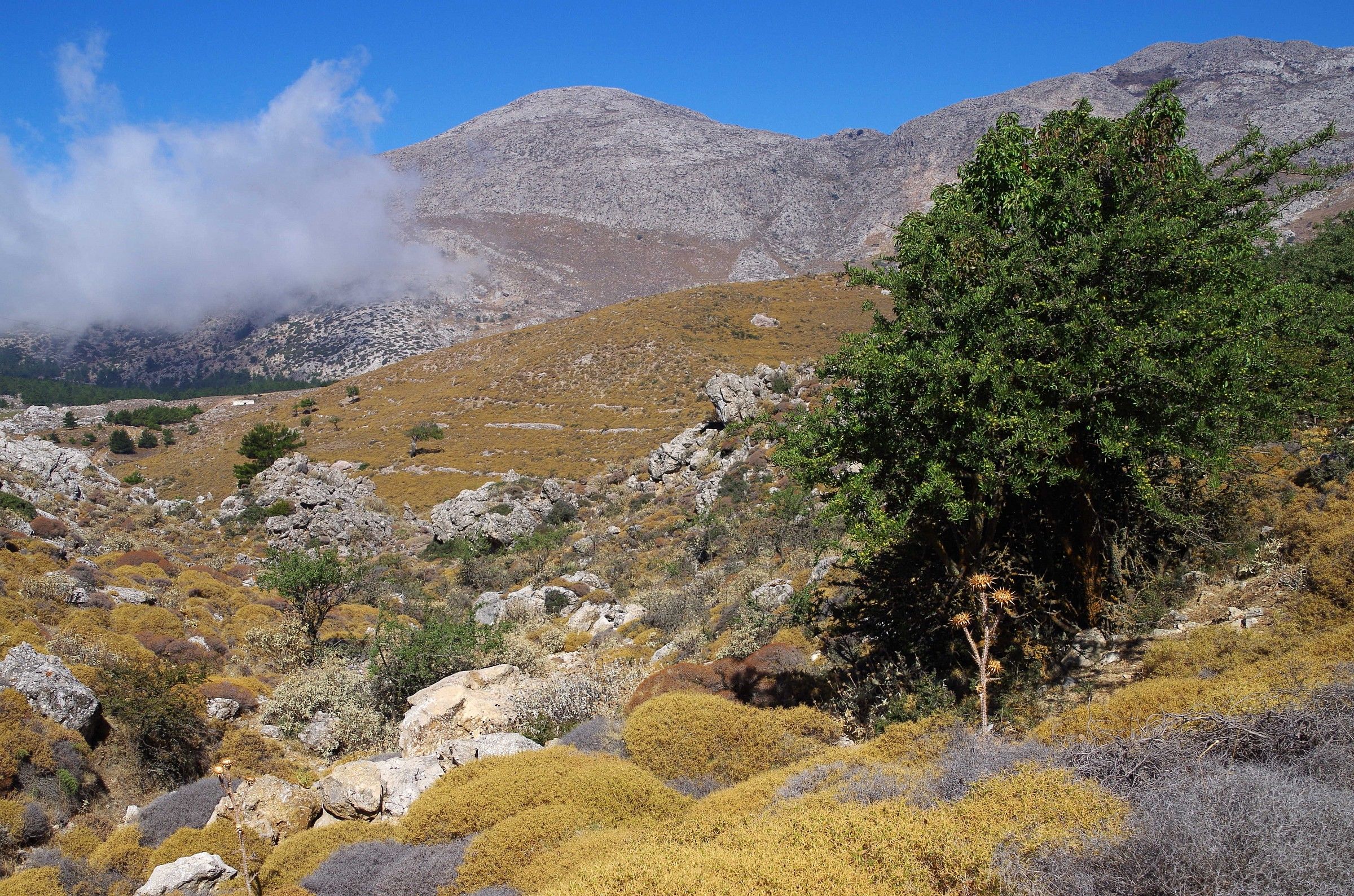 landscape of Karpathos - Greece