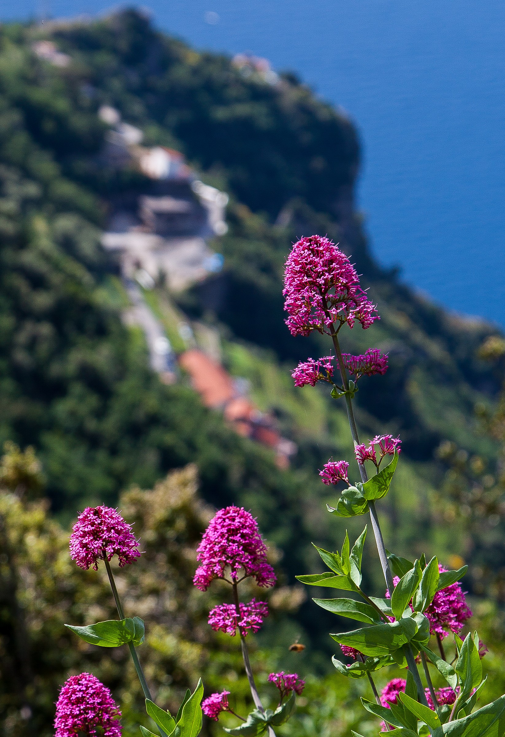 From the path of the Gods