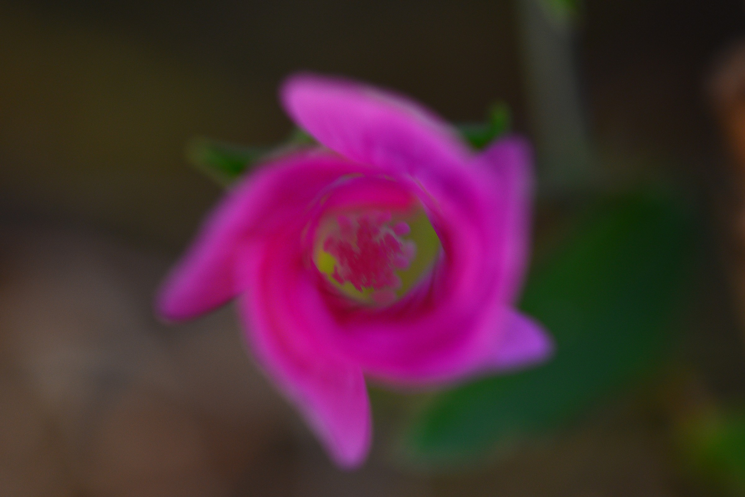 trucchi ottici naturali