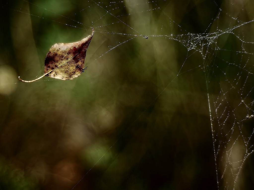 Bye-bye, dear Summer!