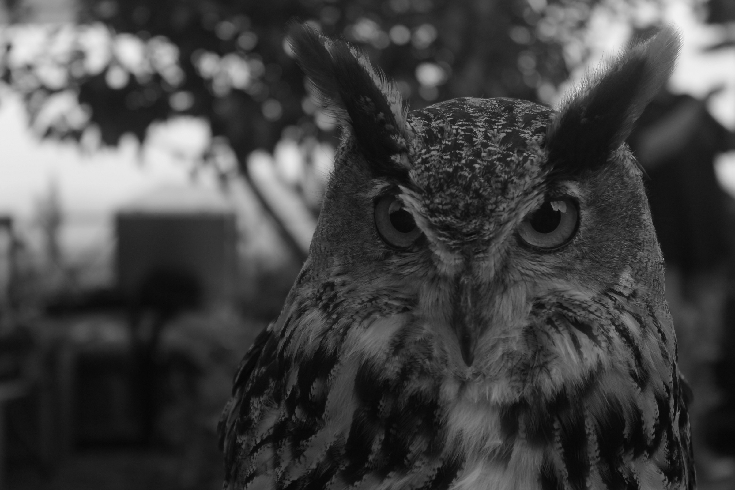 I'm fucking cool and dark