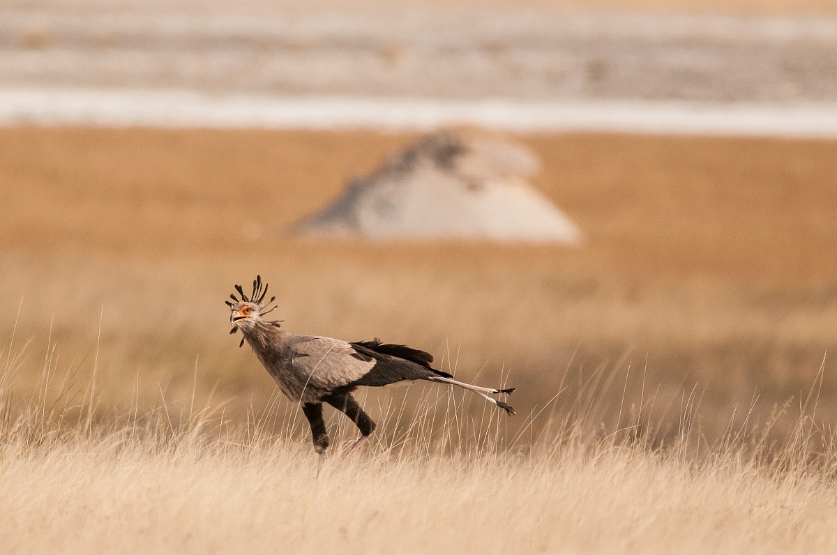 He who seeks finds ........... perhaps ...