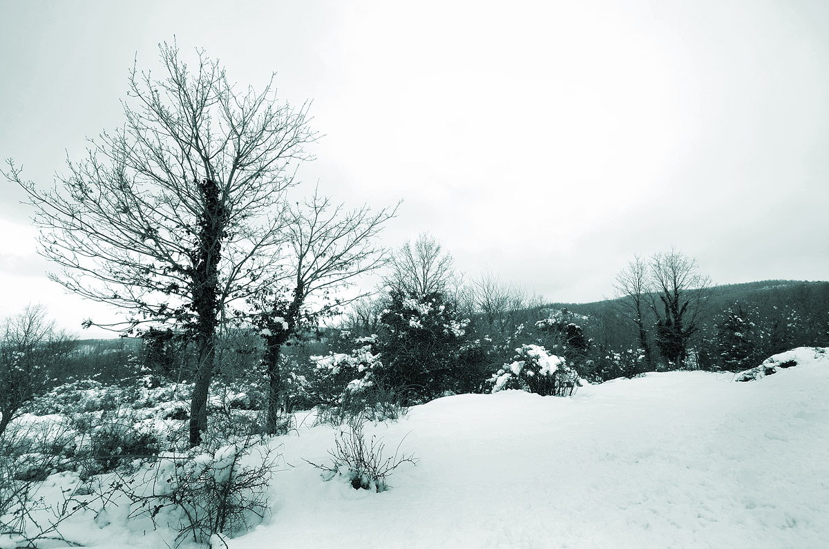Snow on nebrodi - Park nebrodi
