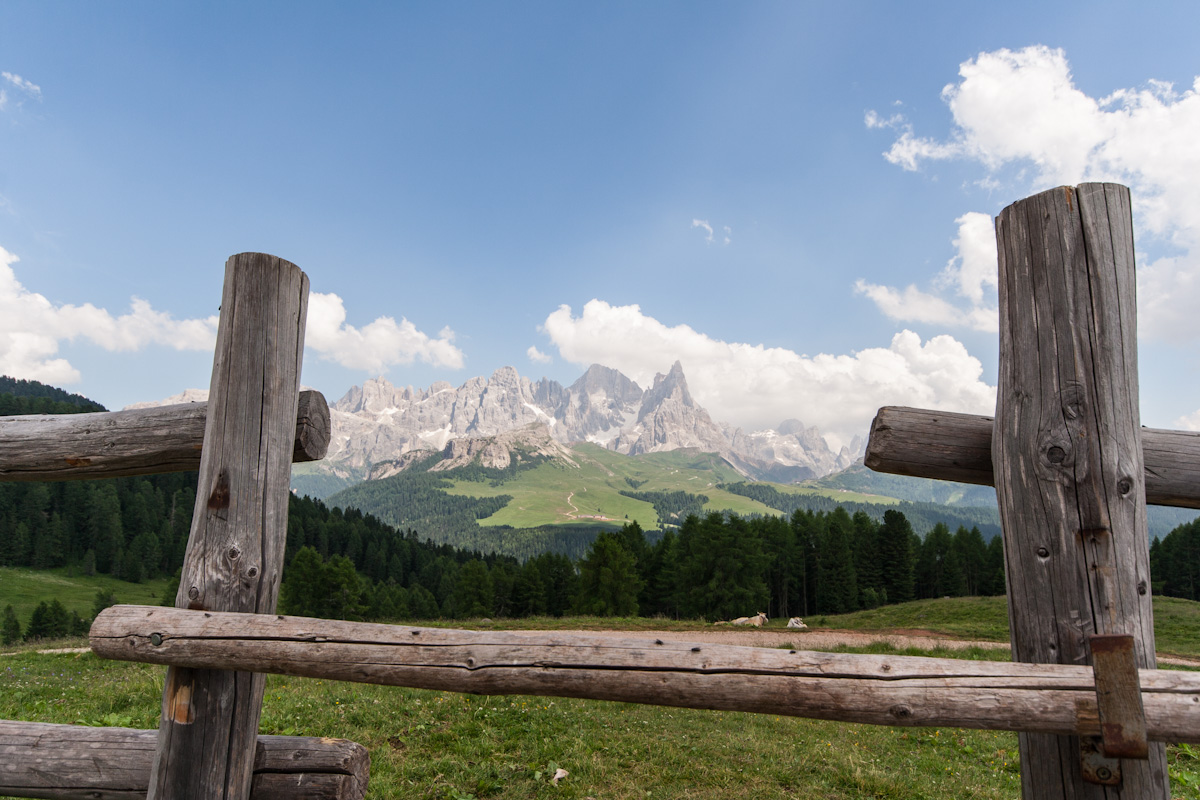 Pale di San Martino from Malga Mouths (Paneveggio)