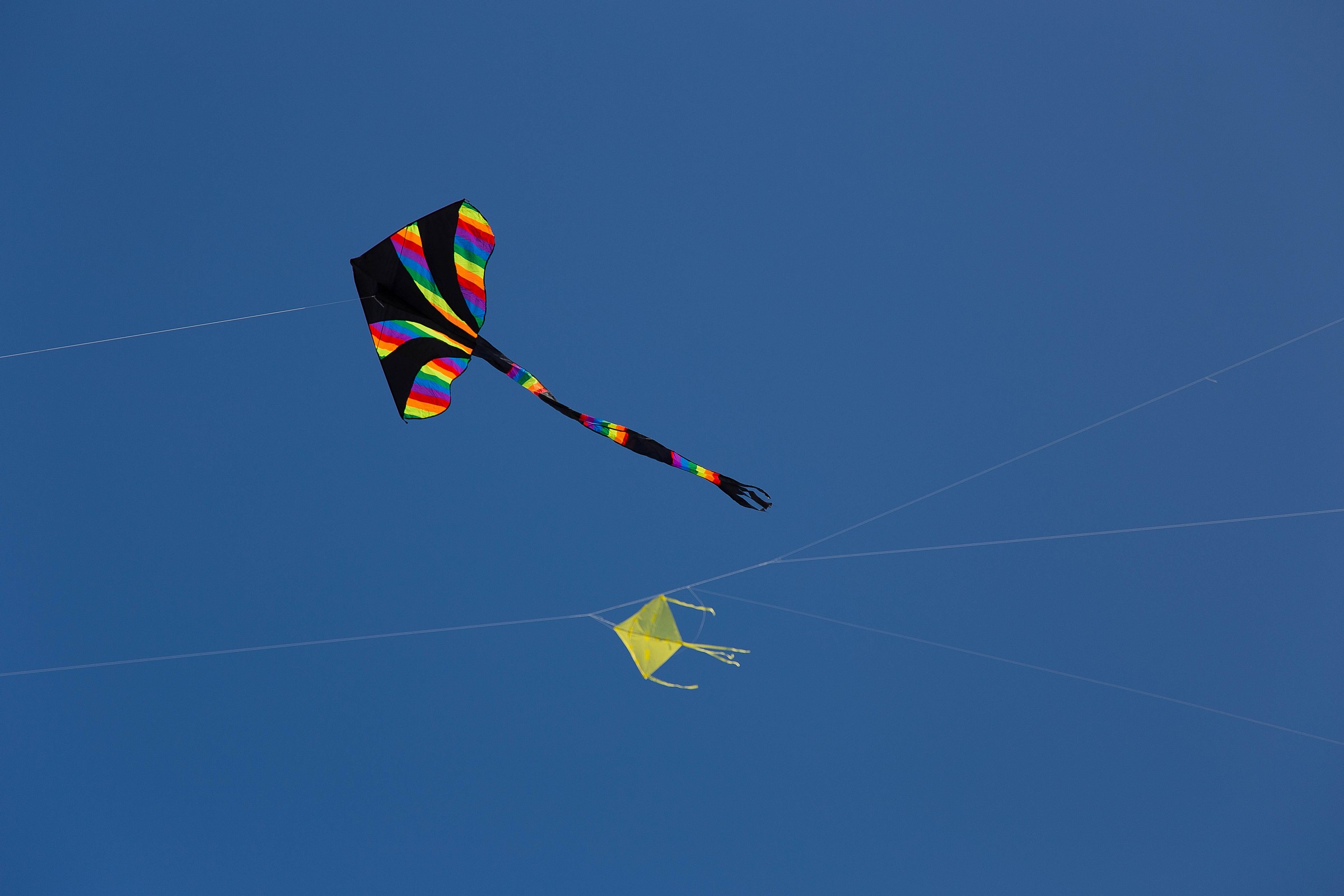 In volo con il piccolo