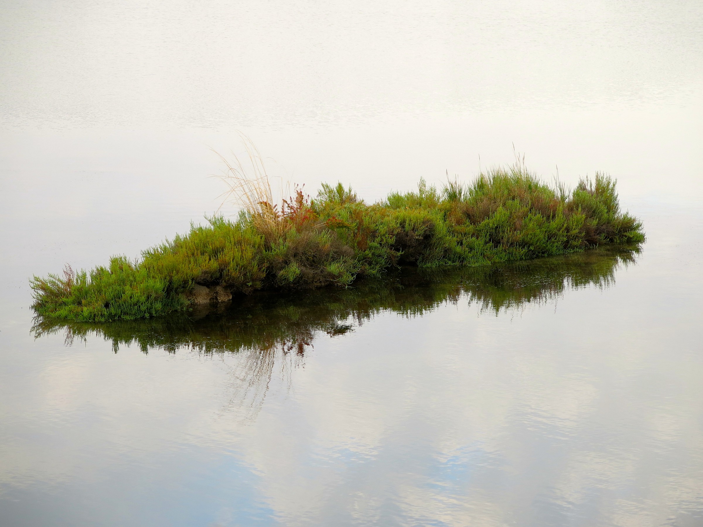 zolla di terra sospesa