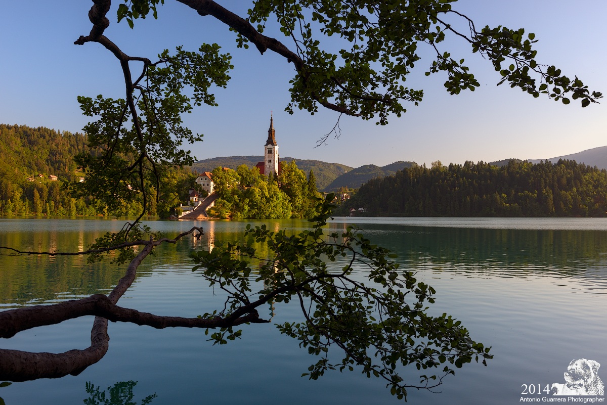 Good Morning Bled