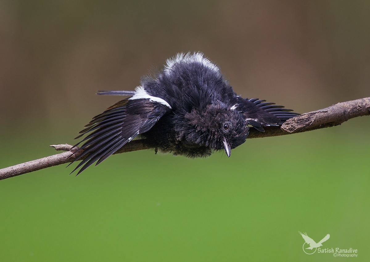Wow, ora Riesco a VEDERE Il Fotografo, lui E Dietro il
