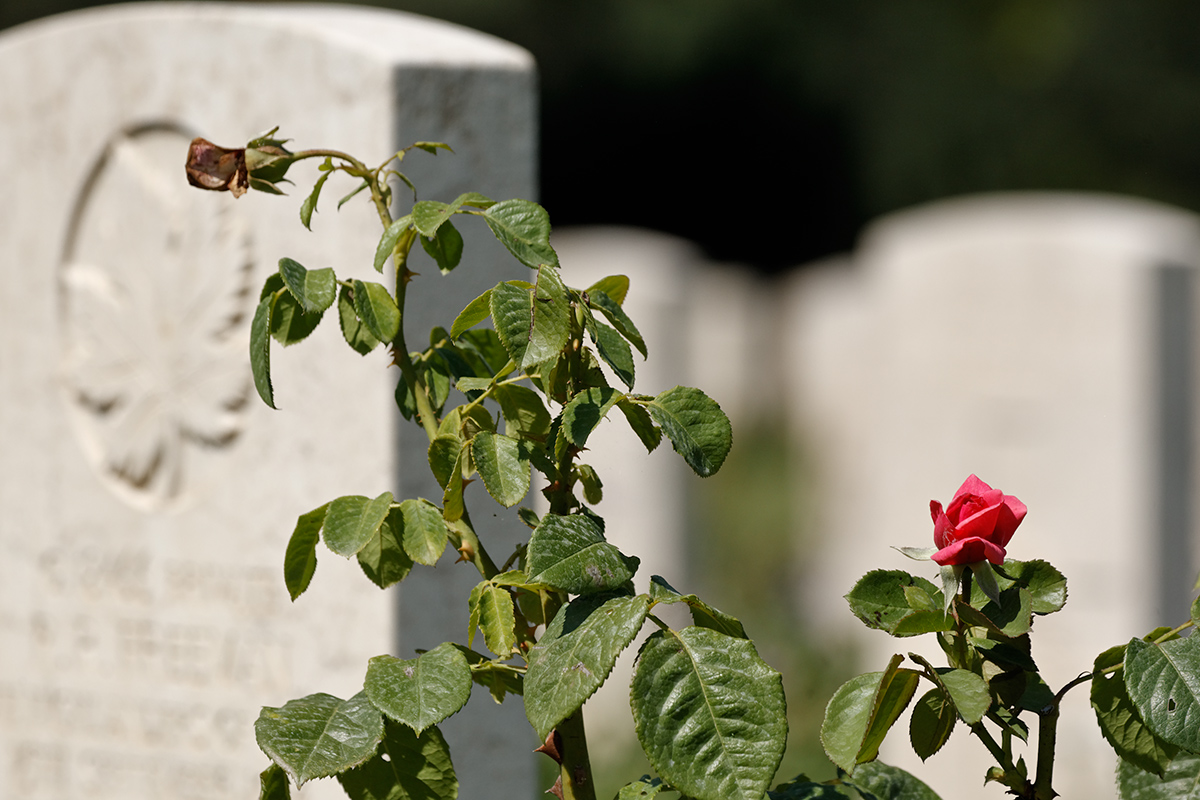 Coriano Cemetery of War