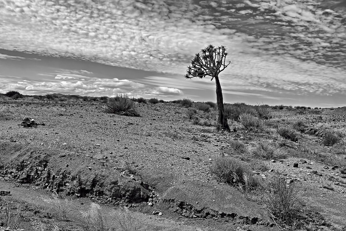 Namibia Skeleton Coast