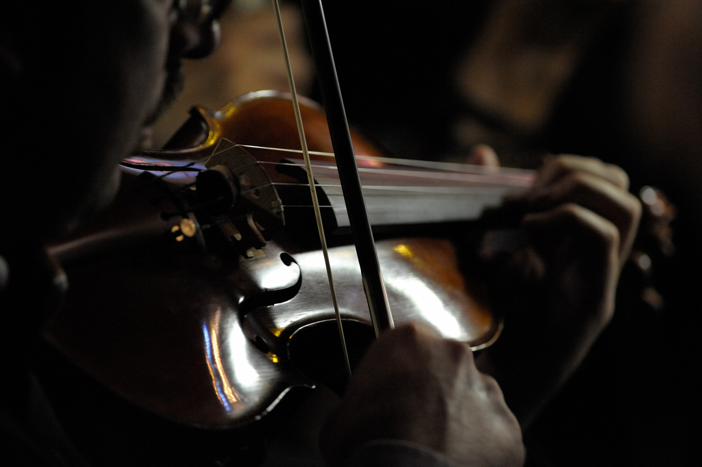 Violin silhouette...