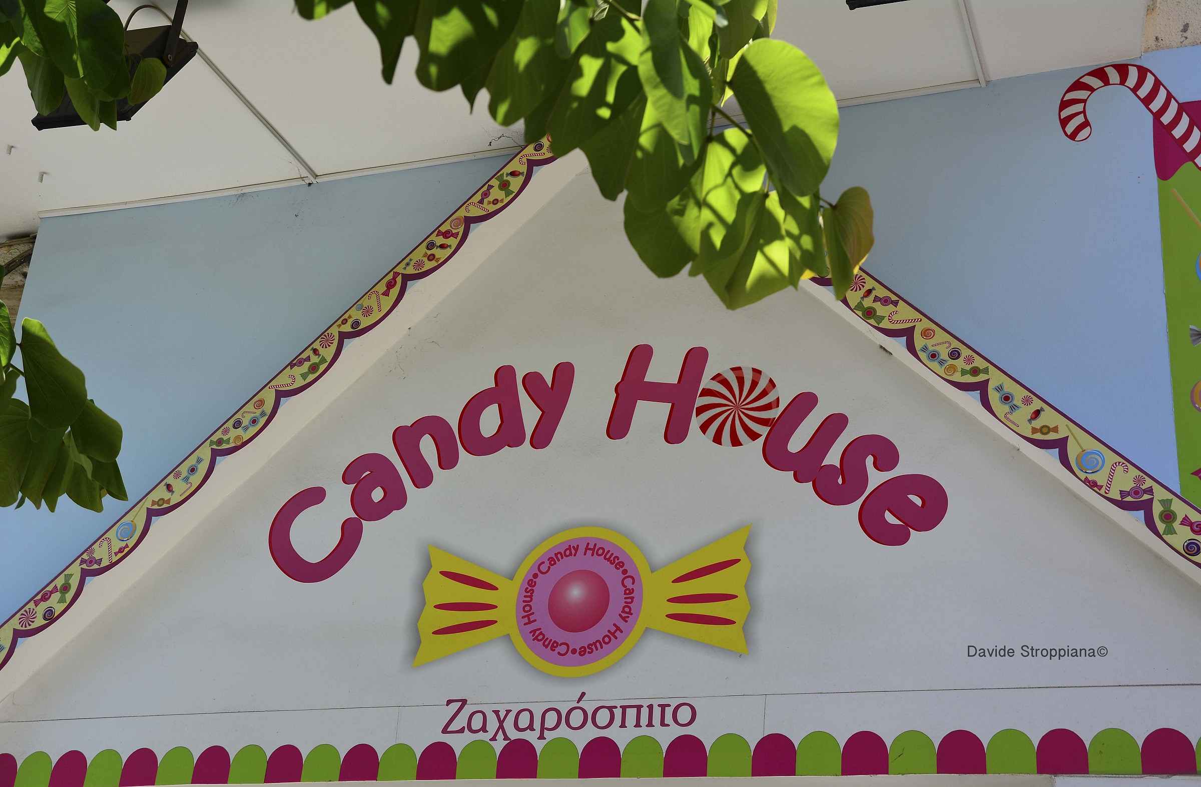Candy