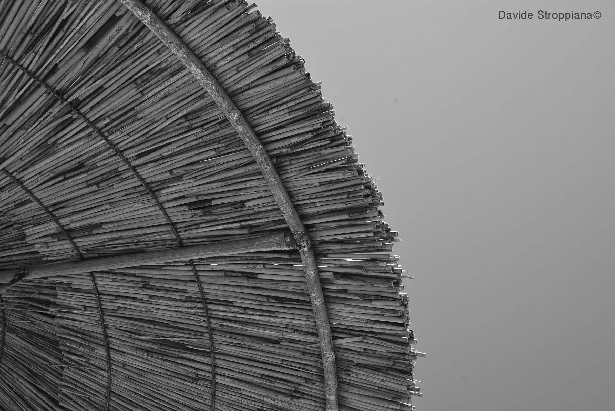 Untitled Photo