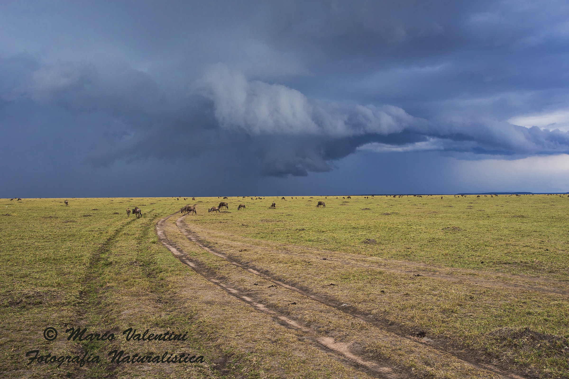 The track towards the storm
