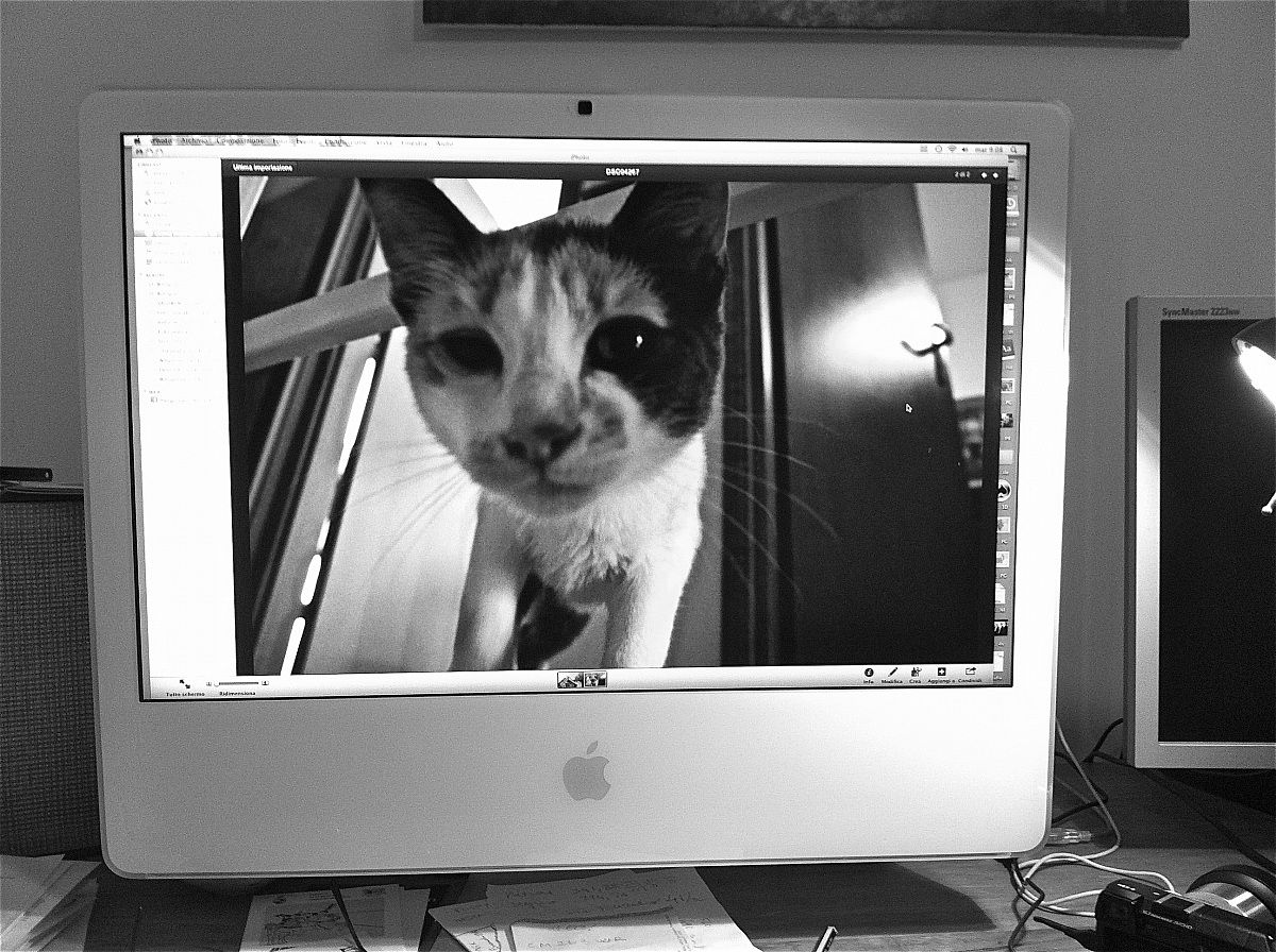 Pepi to me entry into the computer!