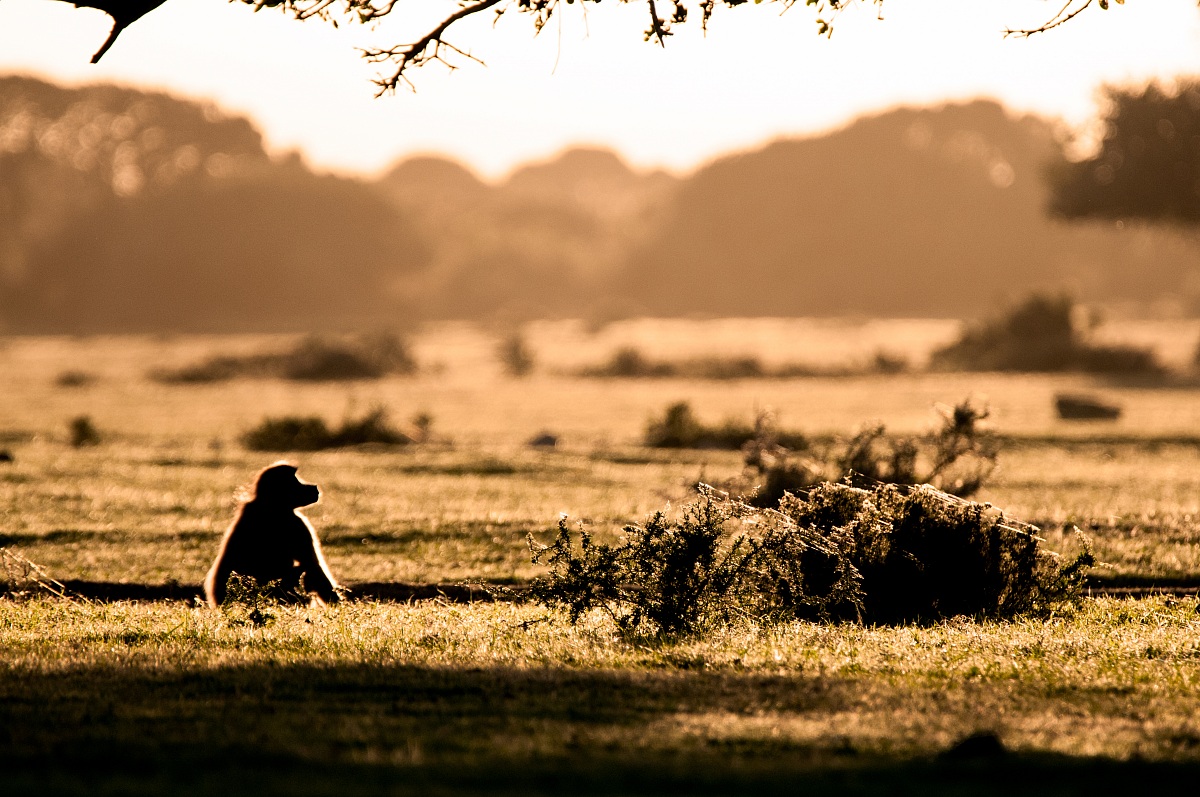 Come on down, you'll look!