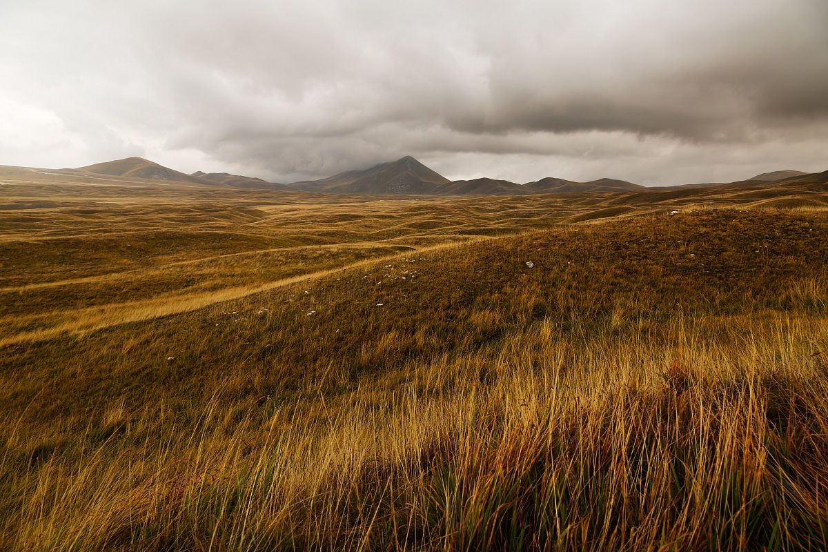 And yet they are in Italy