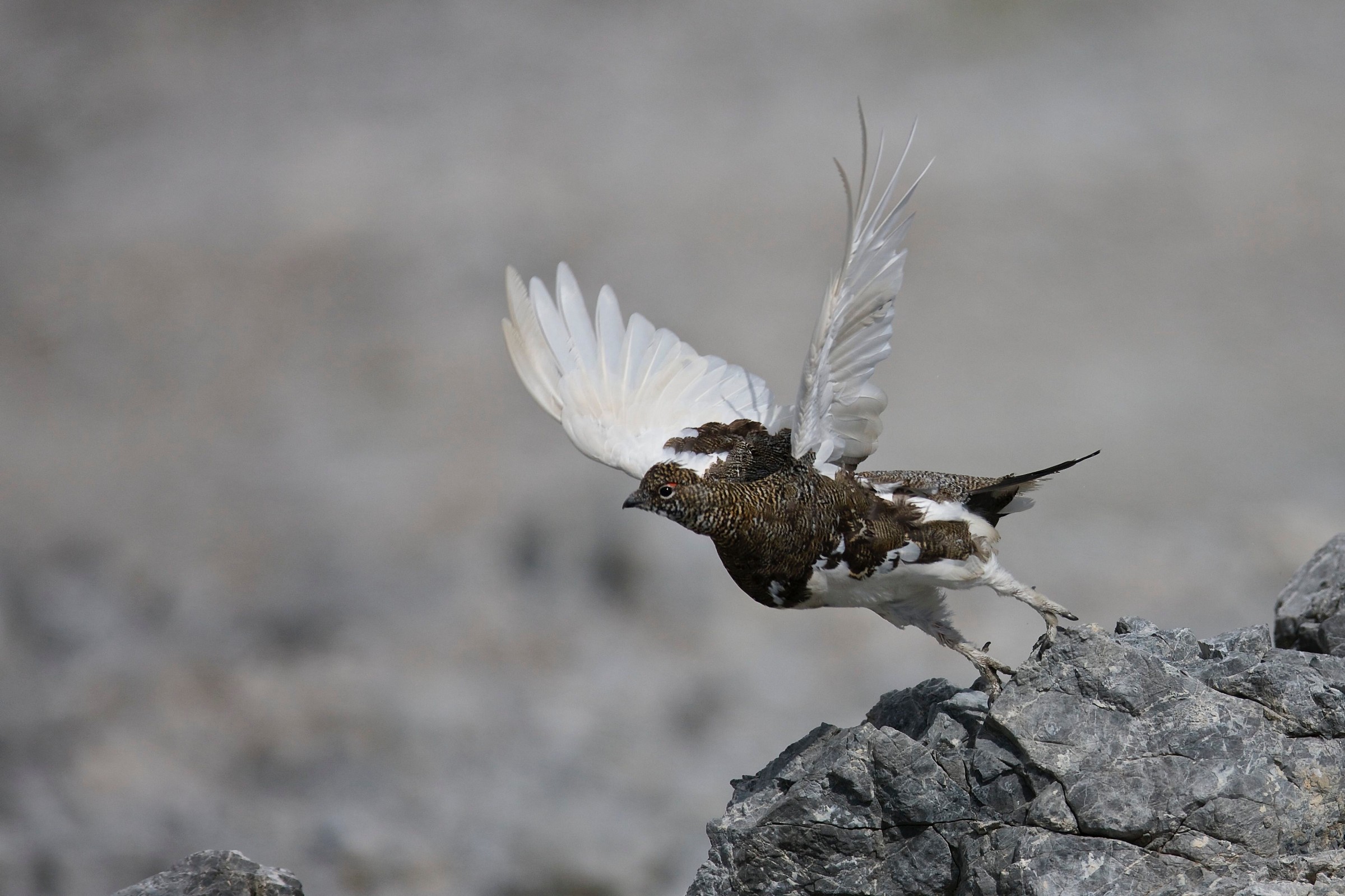 Today I'm happy. I almost throw!