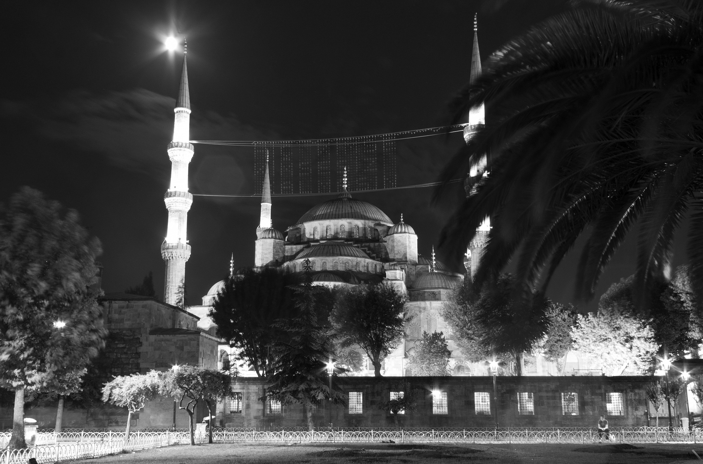 Blue Mosque at night