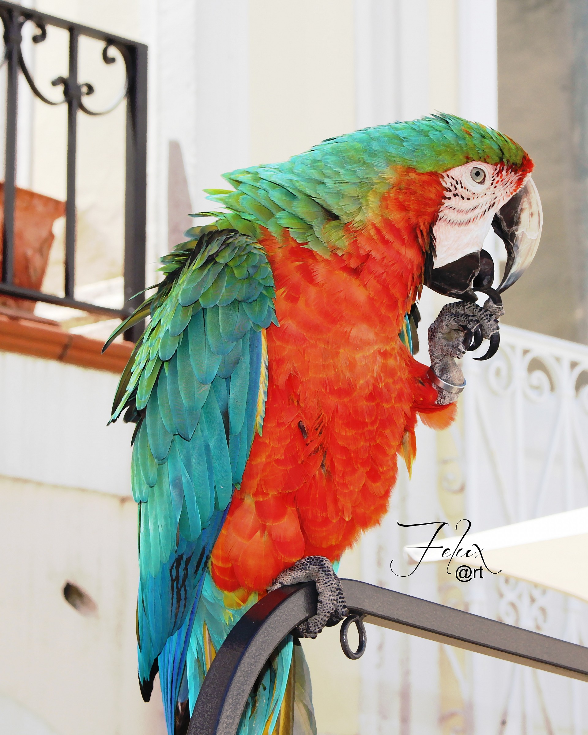 The wonderful colors of nature