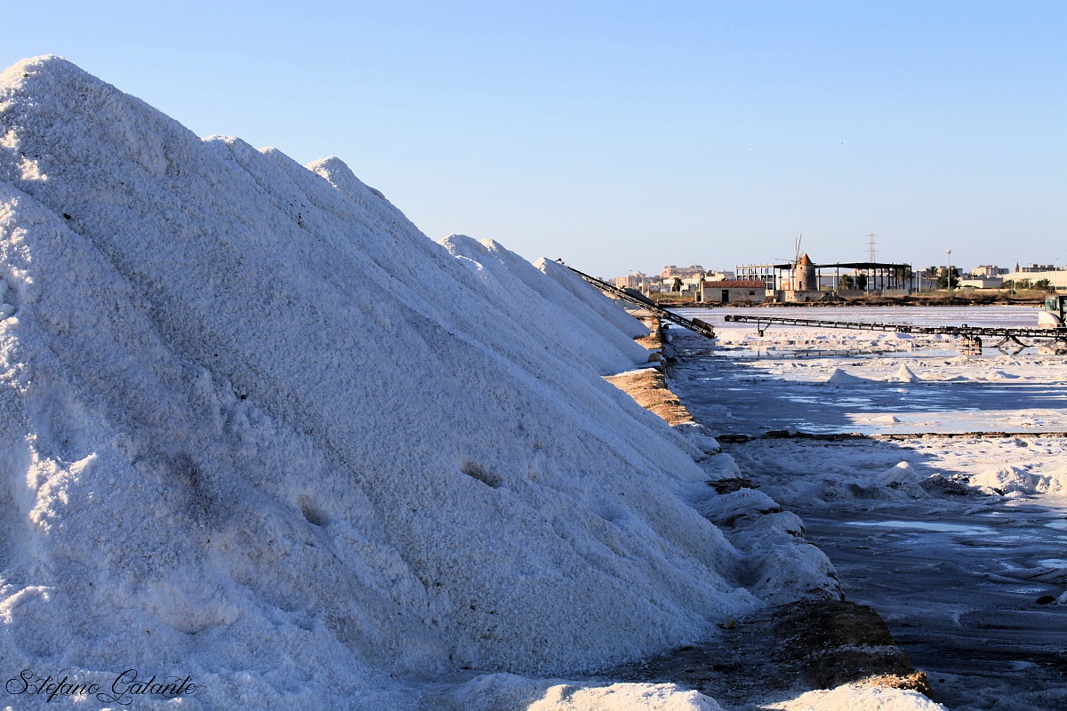 Trapani / saline