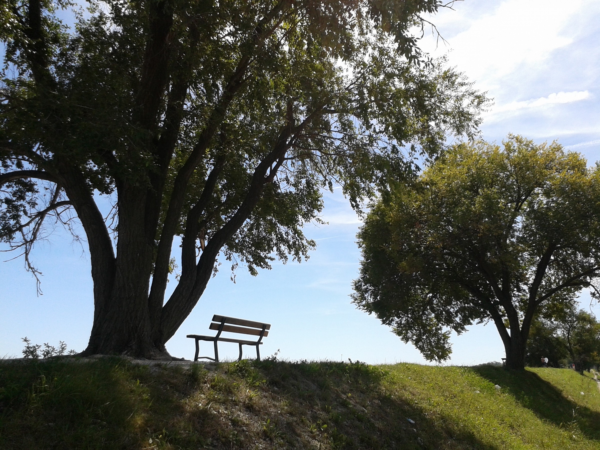 I stop to rest or solace of the sea?