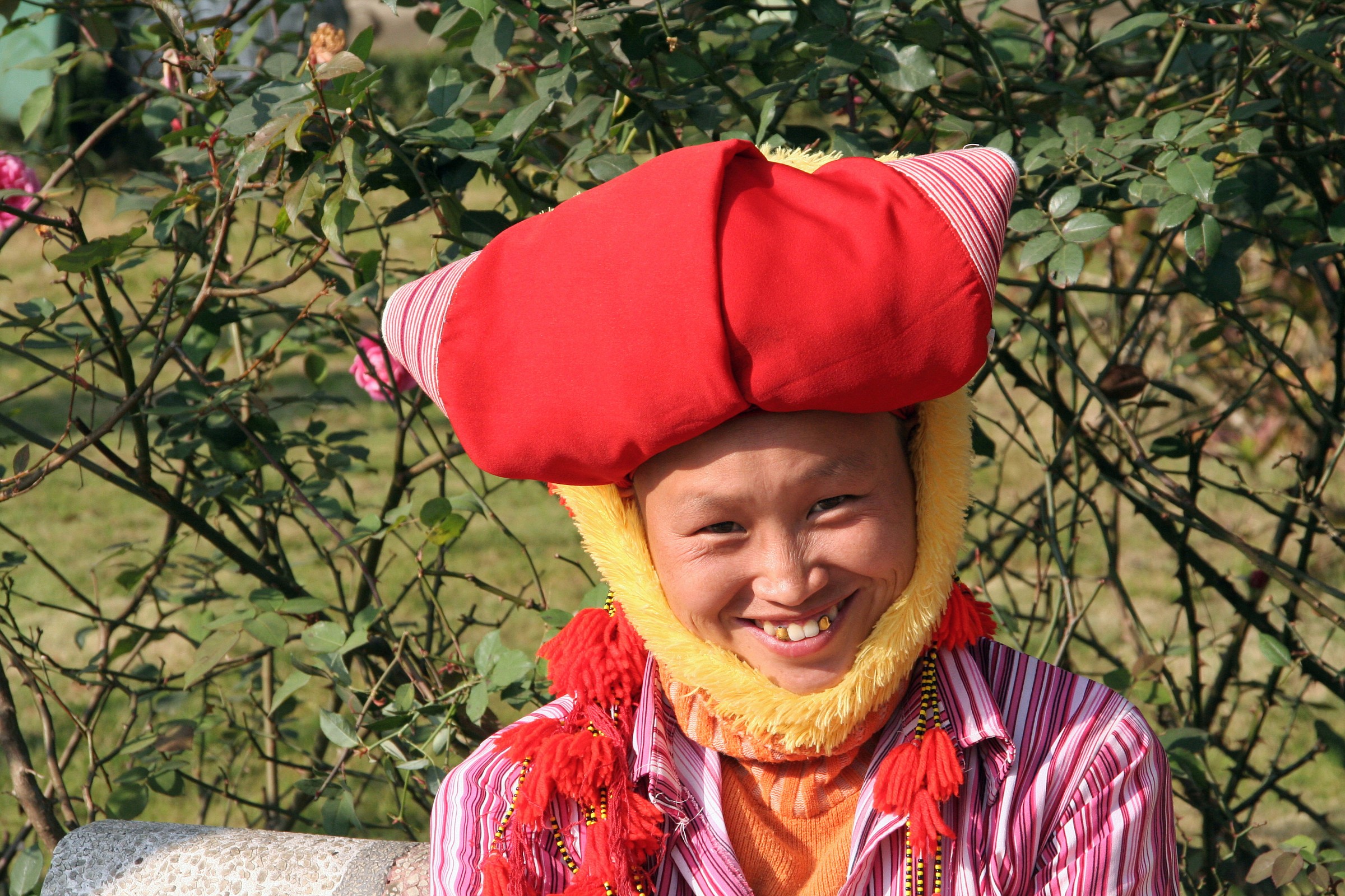 Vietnam ethnic groups