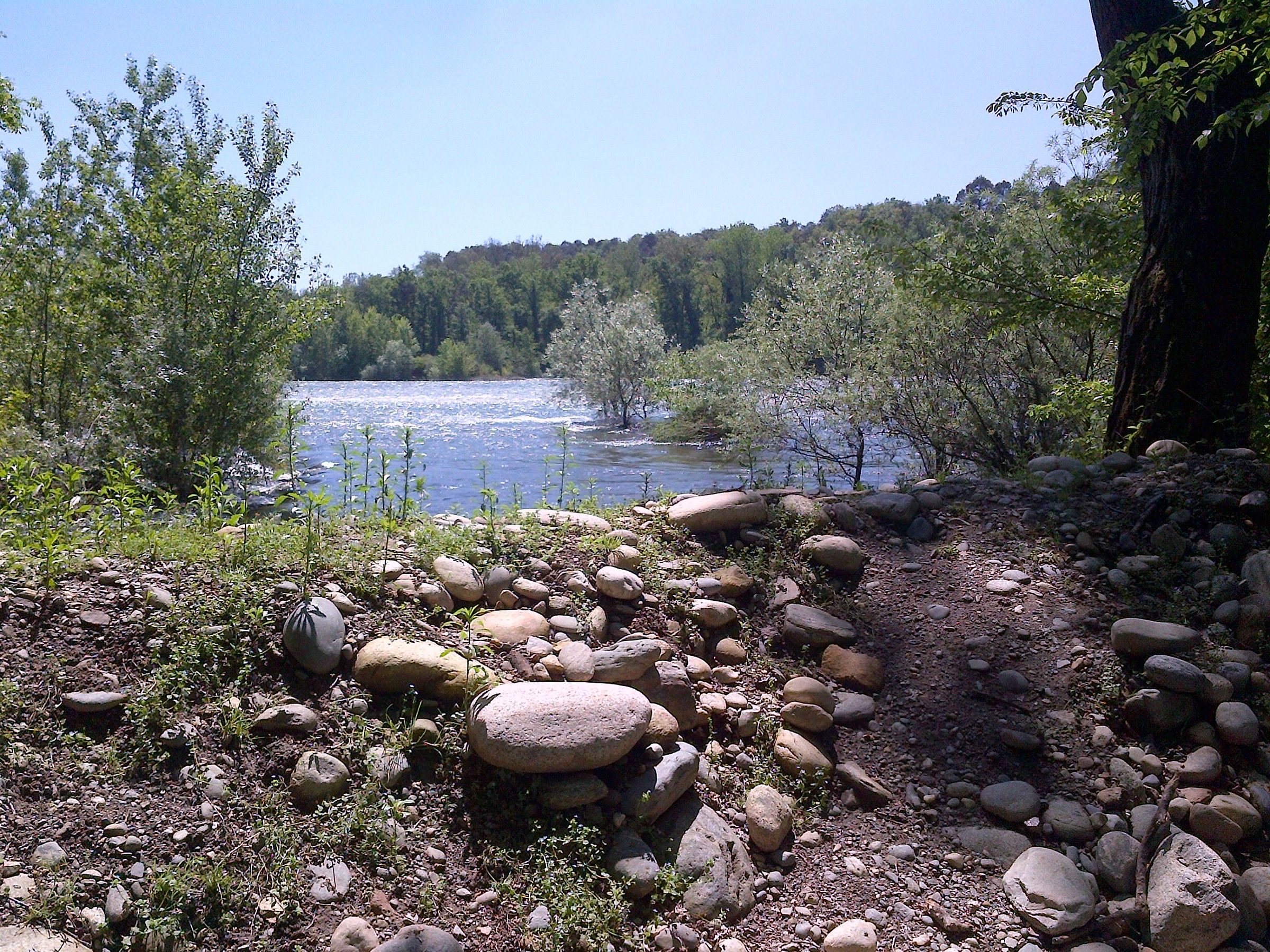 The river from the shore