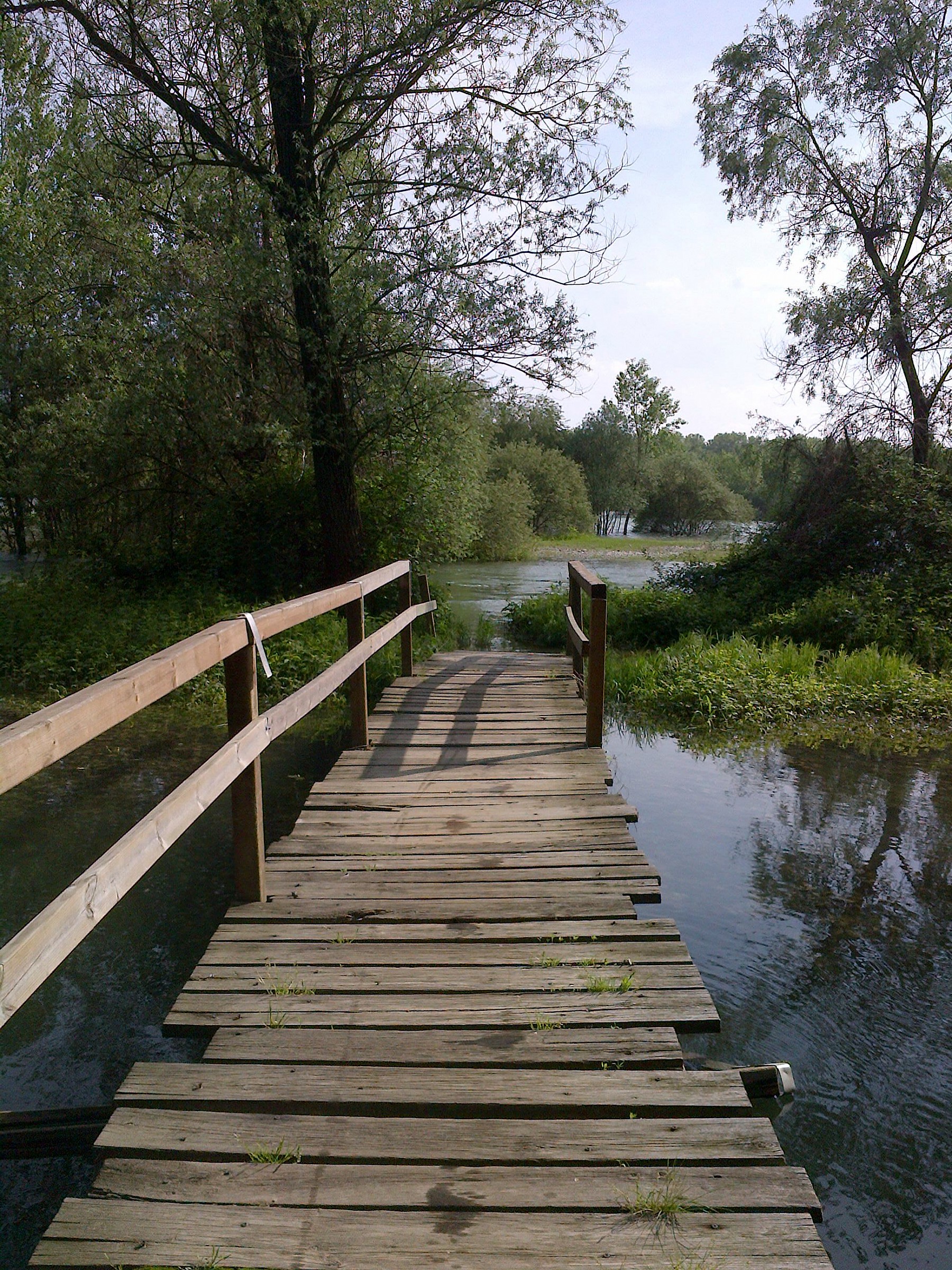 ? steps on the branches of the river blue
